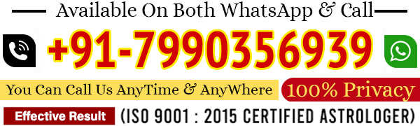 विर हनुमान ज्योतिष दरबार